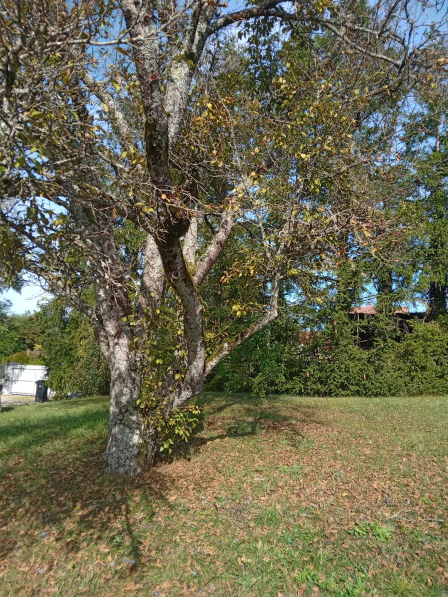Villa Chez Marcelle Et Claude Belleville-Sur-Meuse